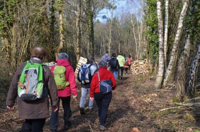 Ronde des Sangliers à Baugé en Anjou
