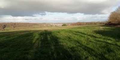 L'allée des Trognes