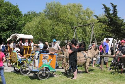 Atelier intergénérationnel de 3 à 99 ans