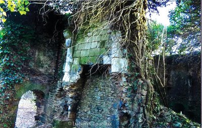 Circuit des étangs de Loudon - Parigné-l'Évêque