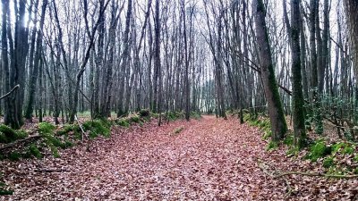 Circuit de la Redonne