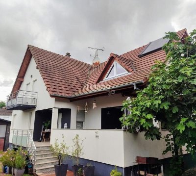 Les mercredis du Chocolat