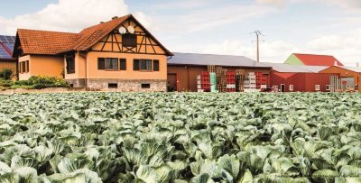 Découvrez la Maison de la choucroute - Le Pic