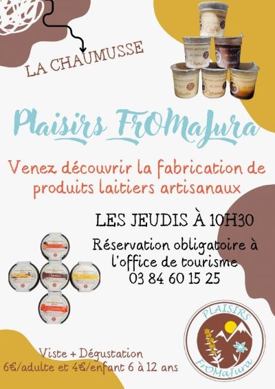Visite guidée de l'atelier Plaisirs FrOMaJura