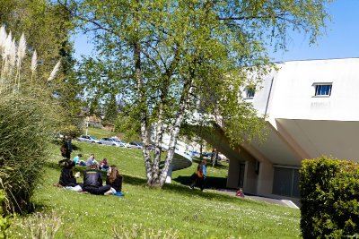 Exposition universitaire