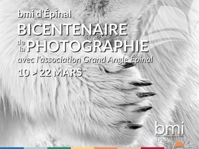 Exposition VINCENT MUNIER - Le Chant des Forêts