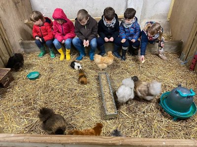 Les Paturettes - Ferme pédagogique