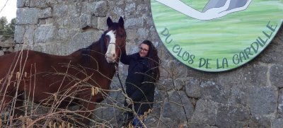 Les chevaux du clos de la Gardille