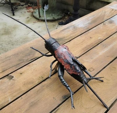 Atelier d’initiation au dessin vectoriel