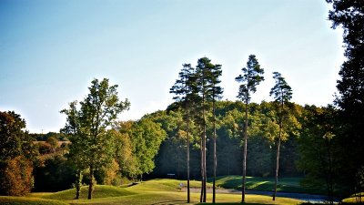 La forêt de Montpensier - PR n°43