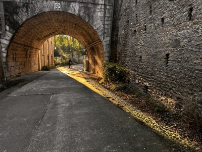 Les trésors et les secrets cachés de l’ancien Domaine du Roy