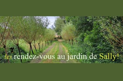 Les Rendez-vous de Sally