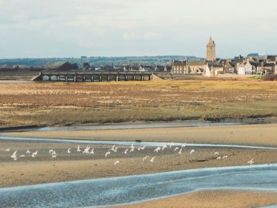 Collecte de déchets - Plage de Port-Bail