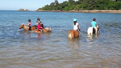 Poney Club de l'Ile à Bois