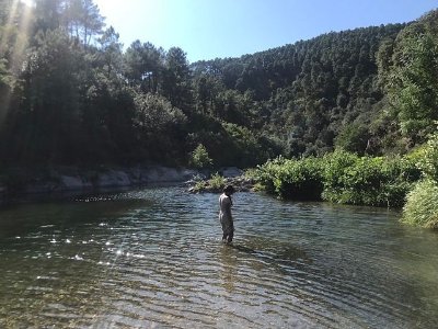 Atelier Valse de l'encre