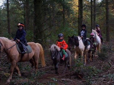 Haras de la Bourdonnaye