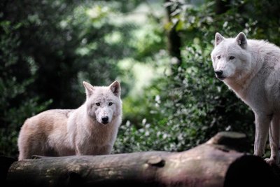 Instant photo au Parc Argonne Découverte