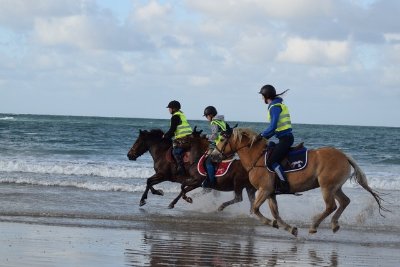 AELIS Poney club de Saint-Malo