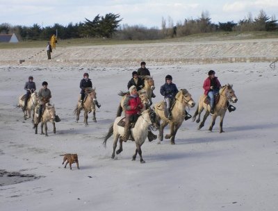 Les Sentiers du Riellec - Centre Equestre