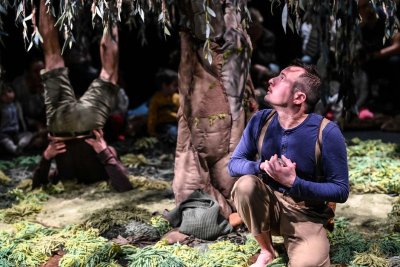 Conférence : Les tourbières en Bretagne