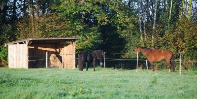 Écuries de Locmaria