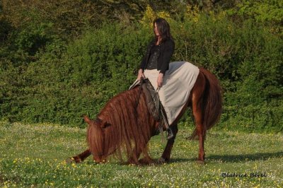 Les Ecuries de la Ville Glé