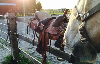 Les Crinières de la Baie