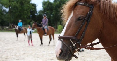 Ecole d'équitation