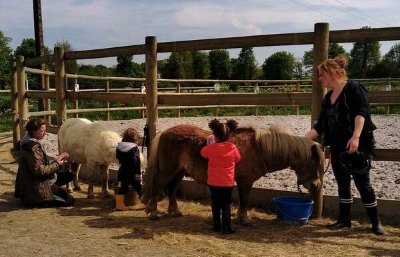 Centre Equestre les Faluns