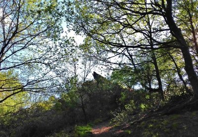 Livret de découverte - La balade des P'tits Loups
