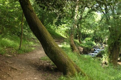 Sentiers de la Rine et du Bruget au Parc de la Brague