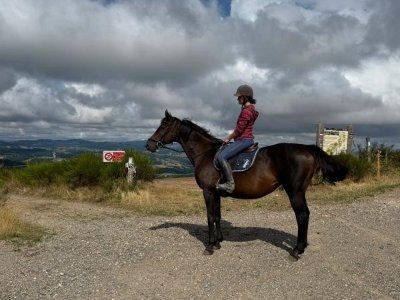 Les Oliviers Equitation