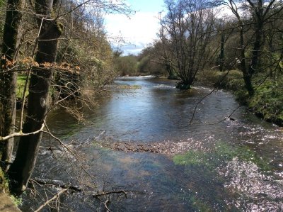 Parcours mouche du château de Tonquédec