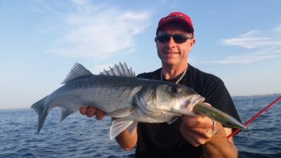 Aquagym en mer Fabienne d'Ortoli