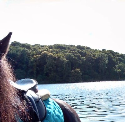 Les Équilibres - Activités équestres