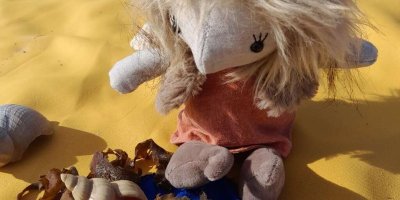 Boc'han, le petit Korrigan des mers