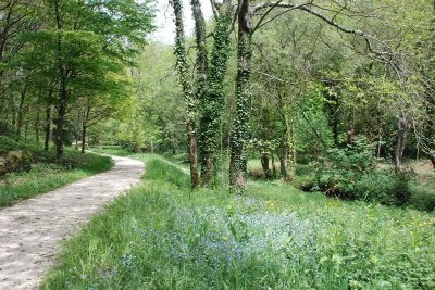 Sentier de Ropenard