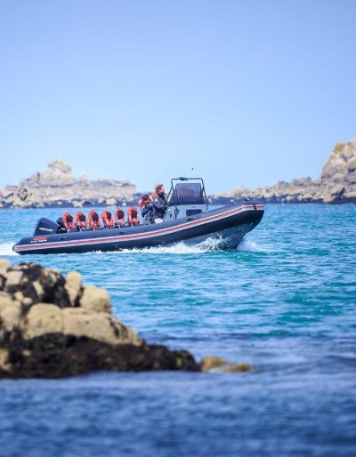 Les Vagabonds de la Baie
