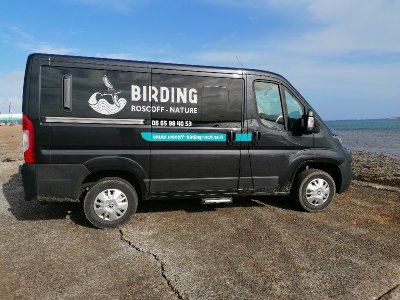 Roscoff Birding Nature- Birding Horizons