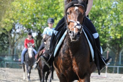Centre Equestre Equi 22