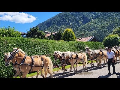 Poney club - centre équestre Equi-libre