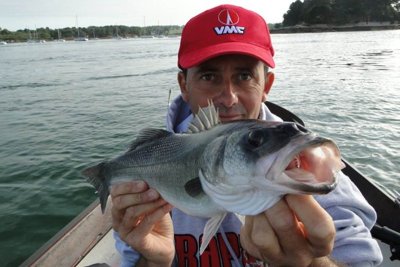 Escale Pêche - guide de pêche Golfe du Morbihan