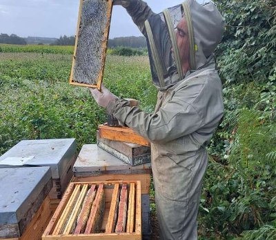 Visite d'entreprise : Mickaël Junot - Apiculteur