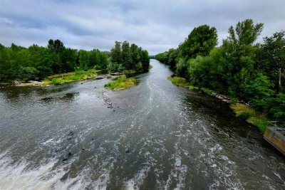 Les bords de l'Allier - PR n°60