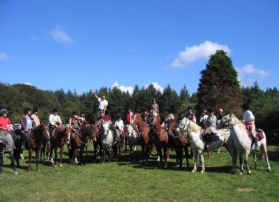 Centre équestre du Manoir de Trouzilit