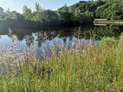 L'Oust au fil de l'eau : balade fluviale