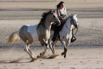 Écuries de Saint Sébastien