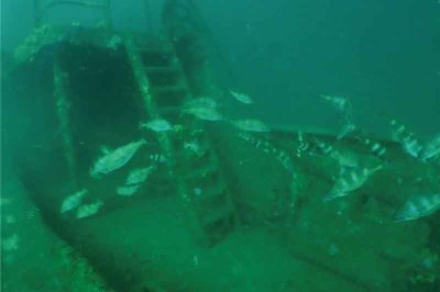 Centre de Plongée Isa