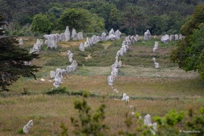 Rêve de bernique – Balades croquis à Pénerf