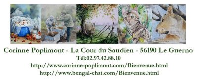 Corinne Poplimont - peintre